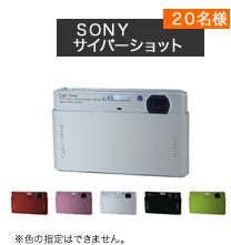 SONYTCo[Vbg 20l