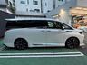 モデリスタ・サイドドアガーニッシュ