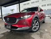 ＣＸ－３０