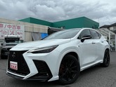 ＮＸ