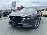 ＣＸ－３０