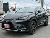 ＮＸ