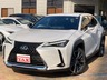 UX 250h バージョンL　画像1