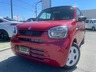 アルト 660 L アップグレードパッケージ装着車　画像1