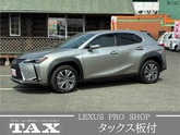レクサス　ＵＸ３００ｅ バージョンＣ 全方位カメラ／クルーズコントロール／シートエアコン／ステアリングヒ