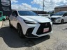 NX 350h Fスポーツ　画像1