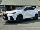 ＮＸ
