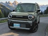 ハスラー 660 タフワイルドターボ 4WD　画像1