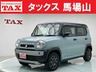 ハスラー 660 タフワイルド　画像1