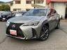 UX 250h Fスポーツ　画像1
