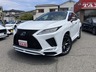 RX 300 Fスポーツ　画像1