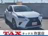 NX 300 スパイス＆シック　画像1