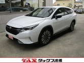 レヴォーグレイバック
