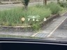☆買う時も。買った後も。確かな安心を。　当店はカーセンサーアフター保証加盟店です(＾◇＾)詳しくはお気軽にお問い合わせください。　　ＴＡＸ生駒店　♪TEL:0743-85-6476♪